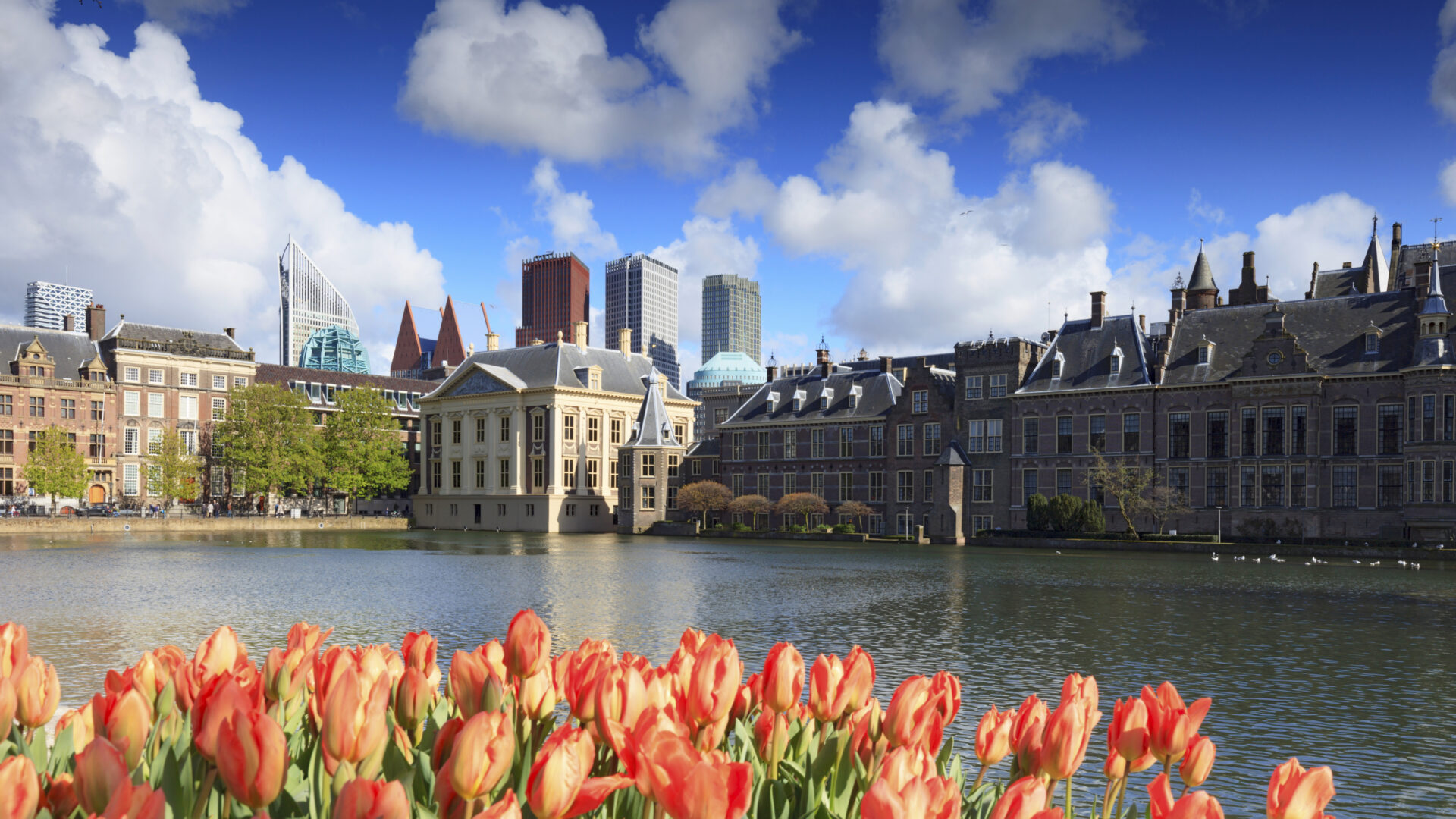 Binnenhof Den Haag | organisator