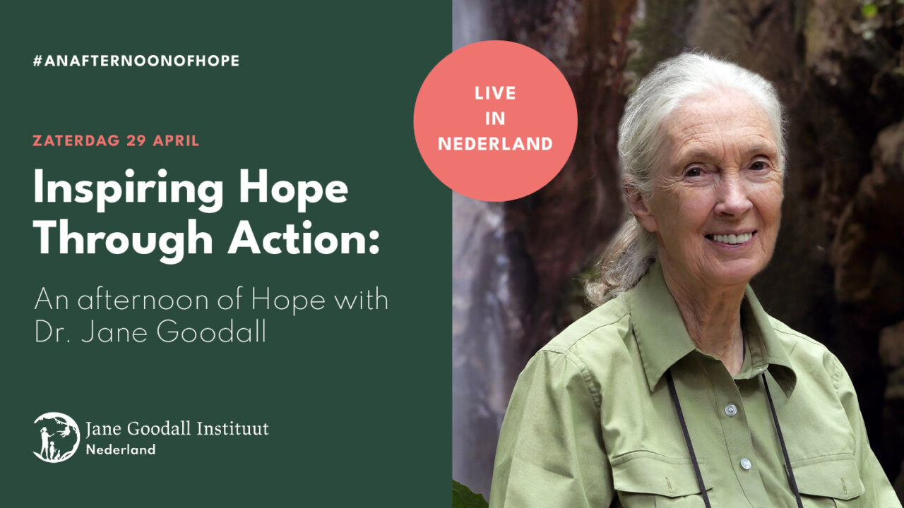 Inspiring Hope Through Action: An afternoon with Dr. Jane Goodall | World Forum Theater